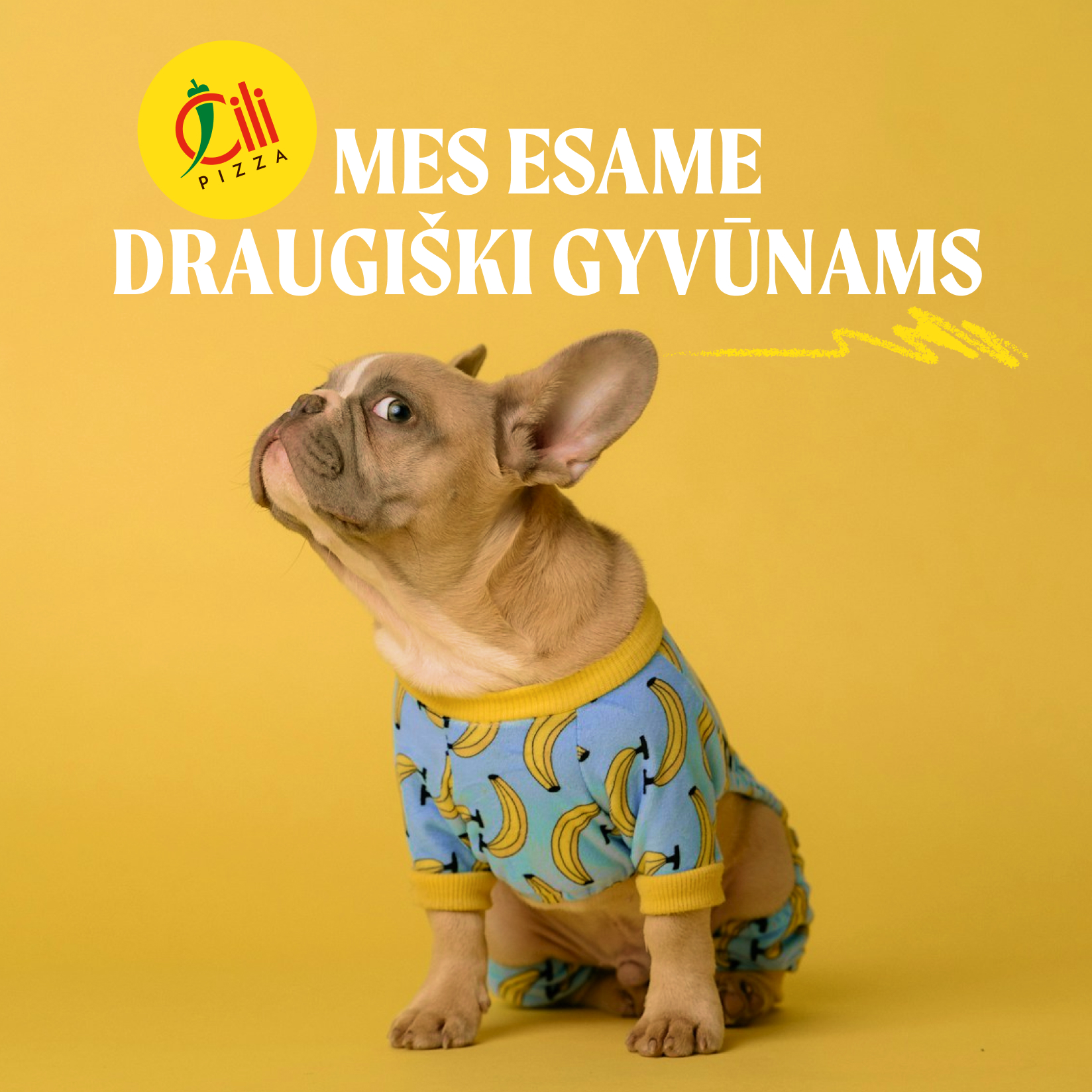 Čili — draugiški augintiniams