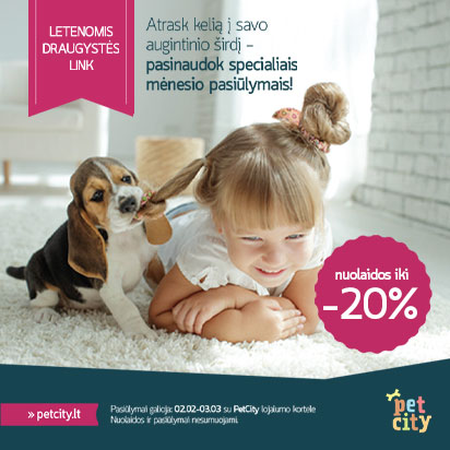 Letenomis draugystės link!