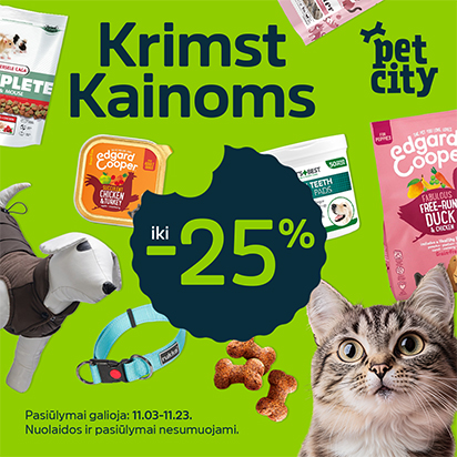 Krimst kainoms! TOP lapkričio pasiūlymai keturkojams