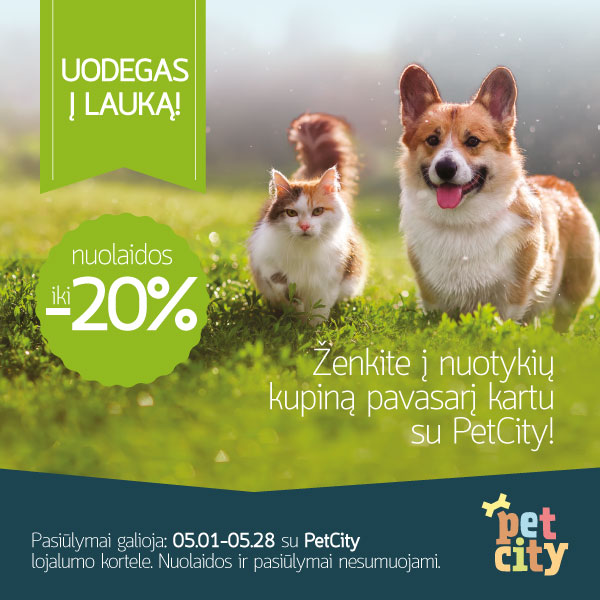 Uodegas į lauką!