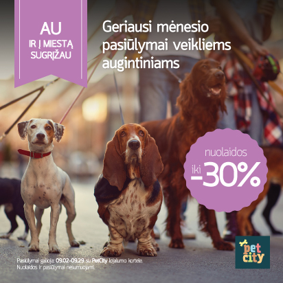 Au ir į miestą sugrįžau!