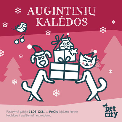 Augintinių Kalėdos