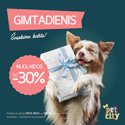 PetCity gimtadienis