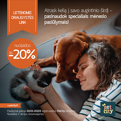 Letenomis draugystės link