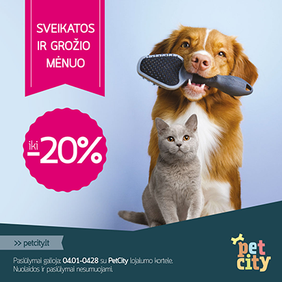 Sveikatos ir grožio mėnuo